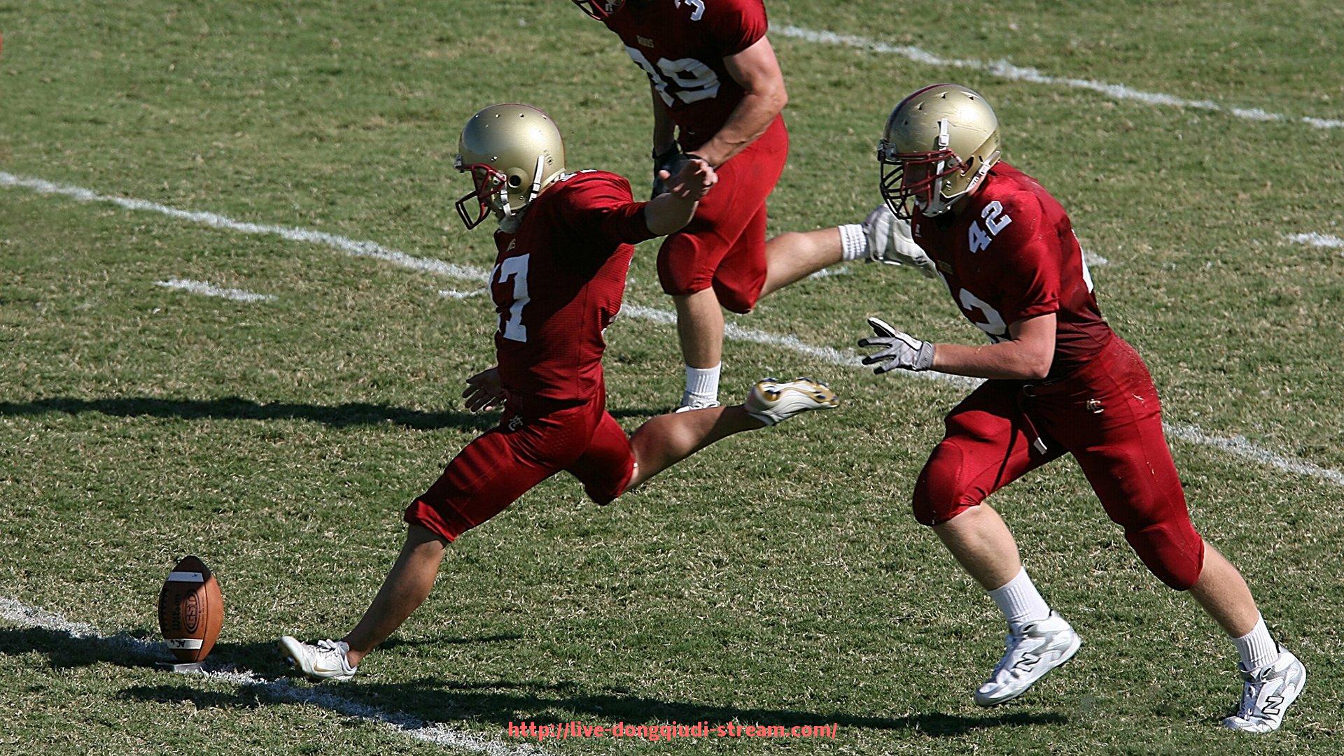 懂球帝直播-广东力健健身器材怎么样？品牌背景与产品特点分析